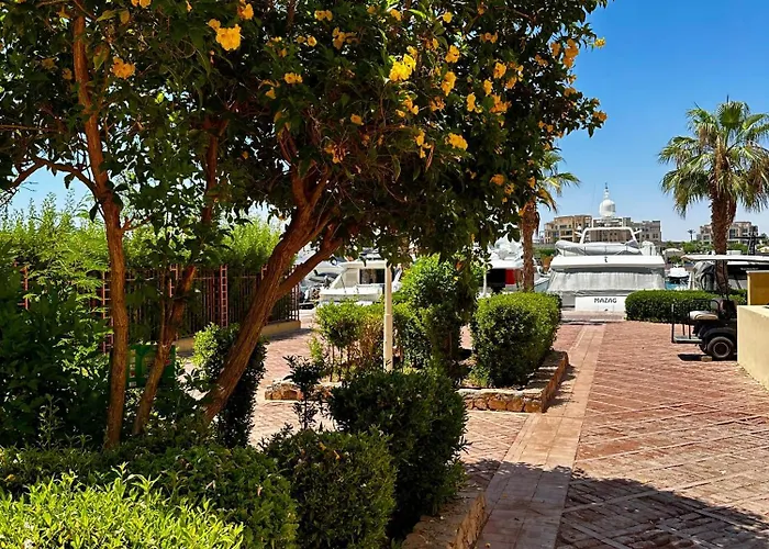 Appartement New Marina Mp 37 *